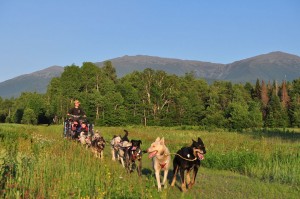 Summer Rolling Dog Sled With View Of White Mountains      